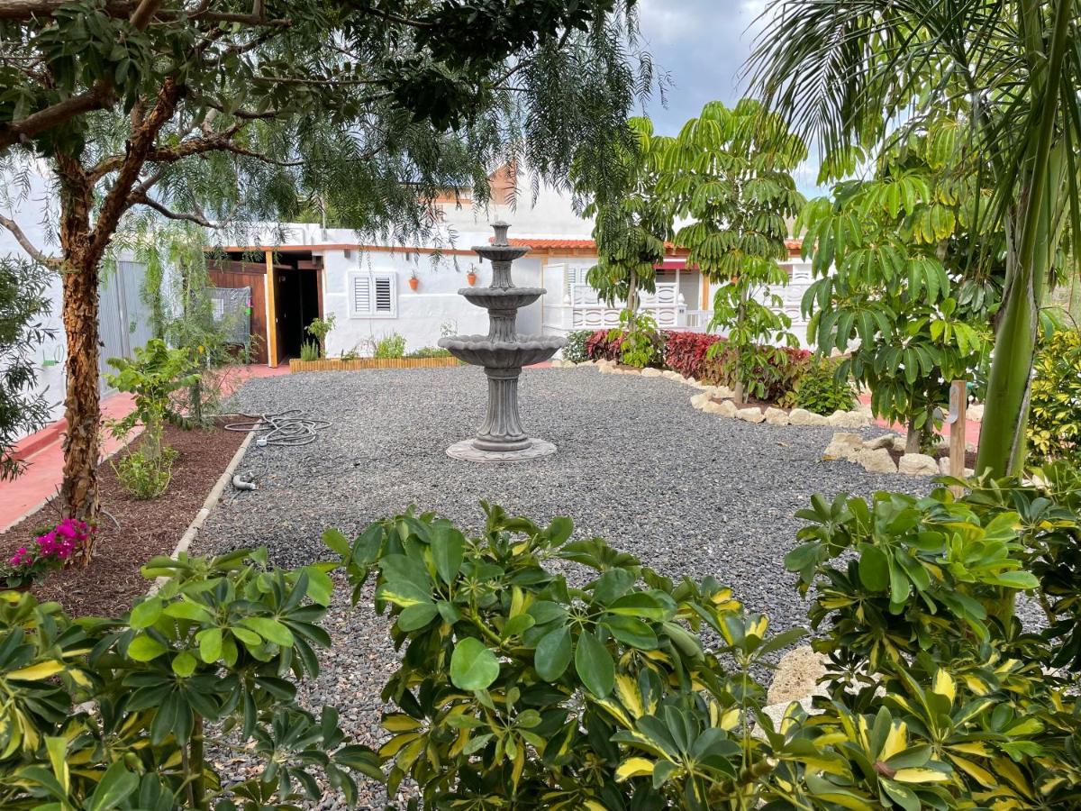 Casitas Rurales Amador Villa Arona  Eksteriør billede