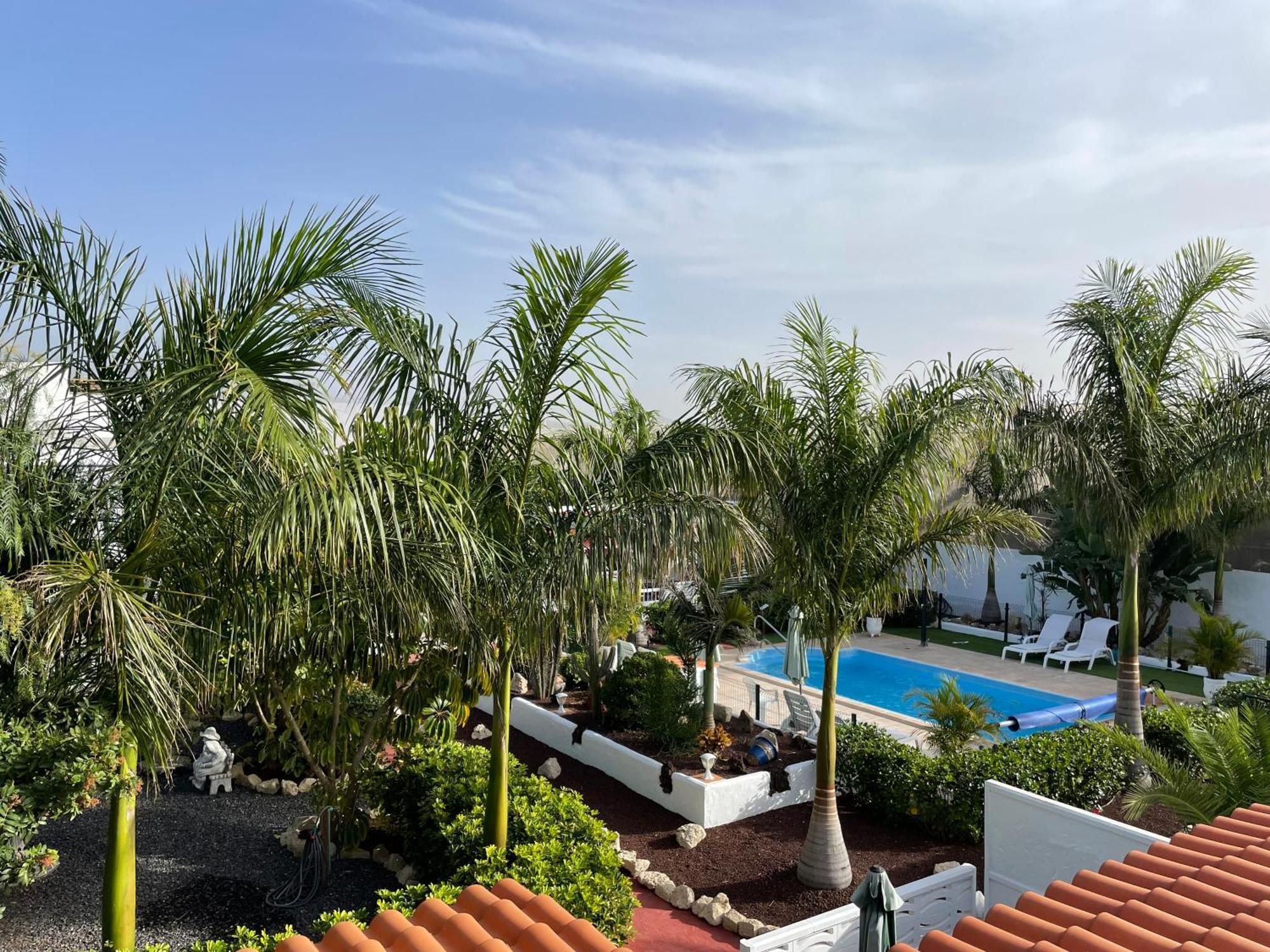 Casitas Rurales Amador Villa Arona  Eksteriør billede